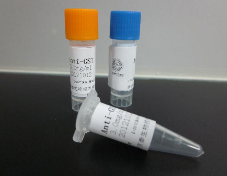 冷鏈保存國(guó)際快遞:打破距離的“保鮮密碼”